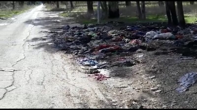 Le donne di Borgo Mezzanone: "È il luogo degli orrori" 15