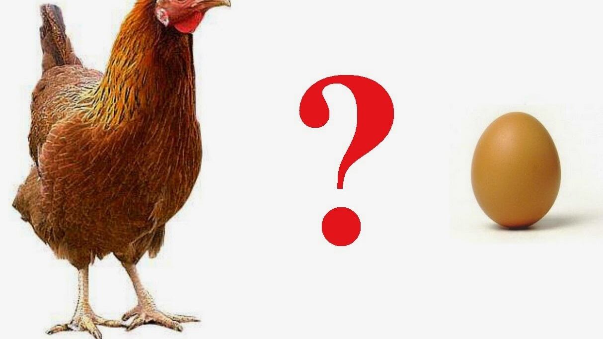 È nato prima l'uovo o la gallina? Finalmente c'è la risposta