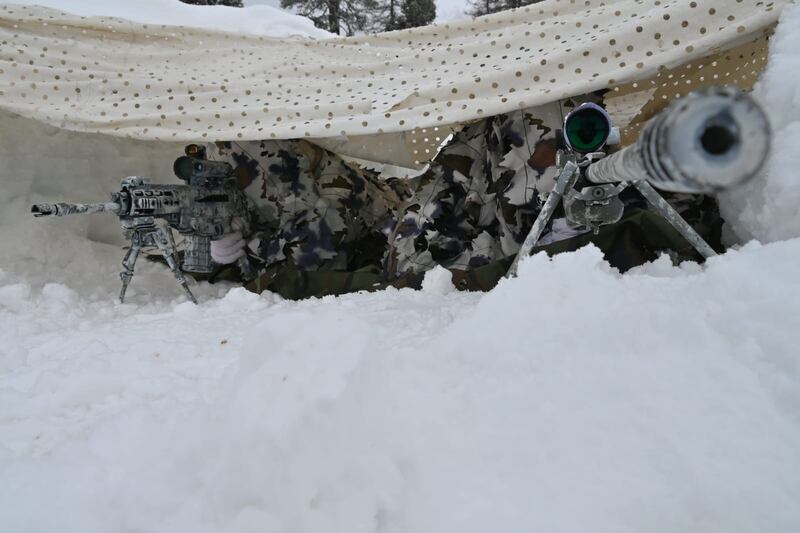 Volpe Bianca 2025: le immagini dell'esercitazione delle Truppe Alpine dell’Esercito 1