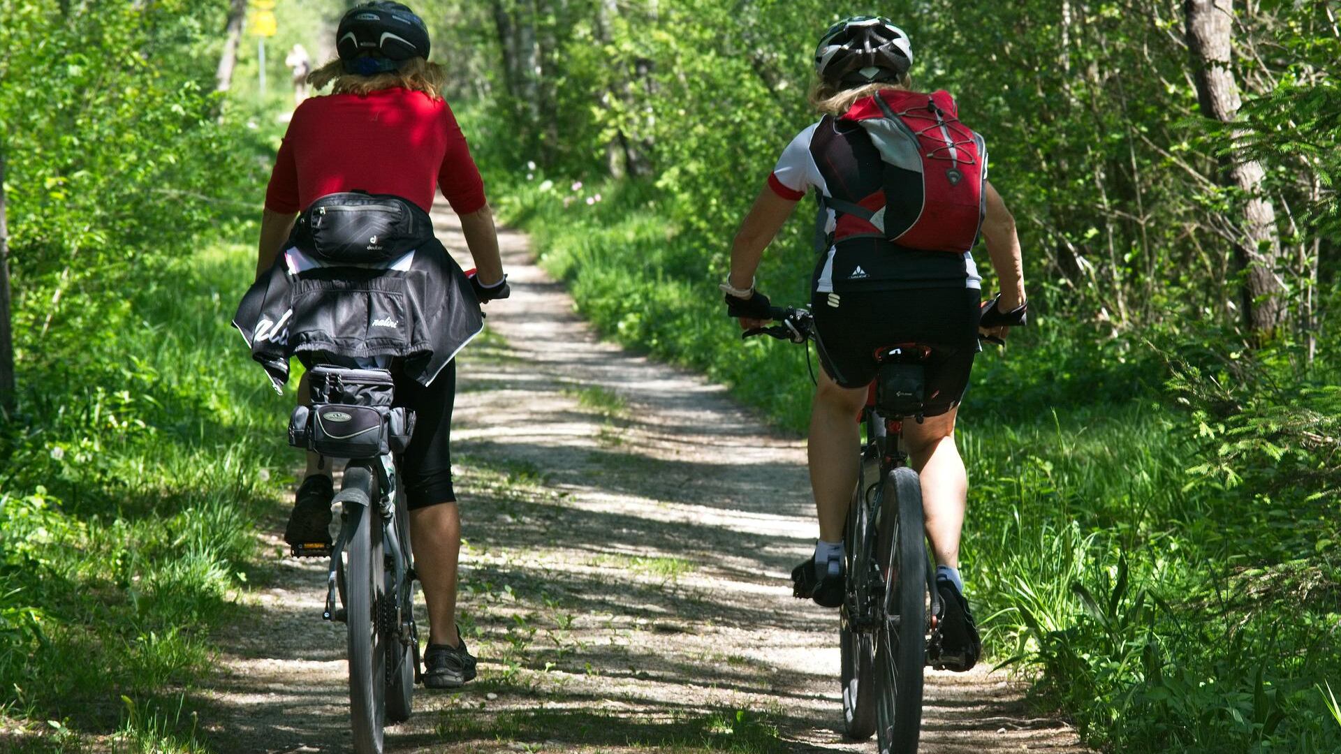 Cicloturismo in Emilia-Romagna tra arte, natura e gusto