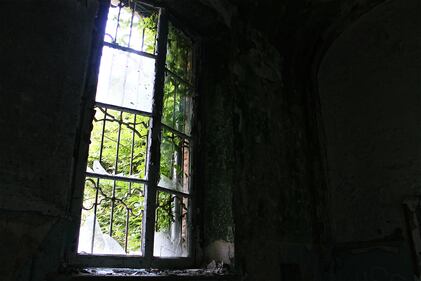 Il manicomio di Mombello 2