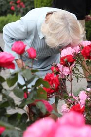 La Duchessa di Cornovaglia al Christchurch Botanic Gardens 6