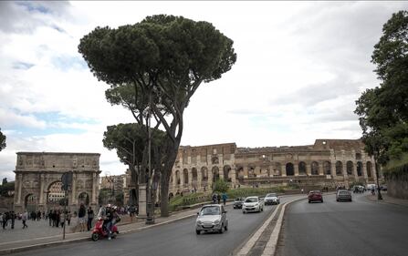 Le meraviglie di Roma: i pini marittimi in città 11