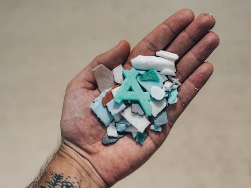 Microplastiche: cosa sono e come impattano sull'ambiente