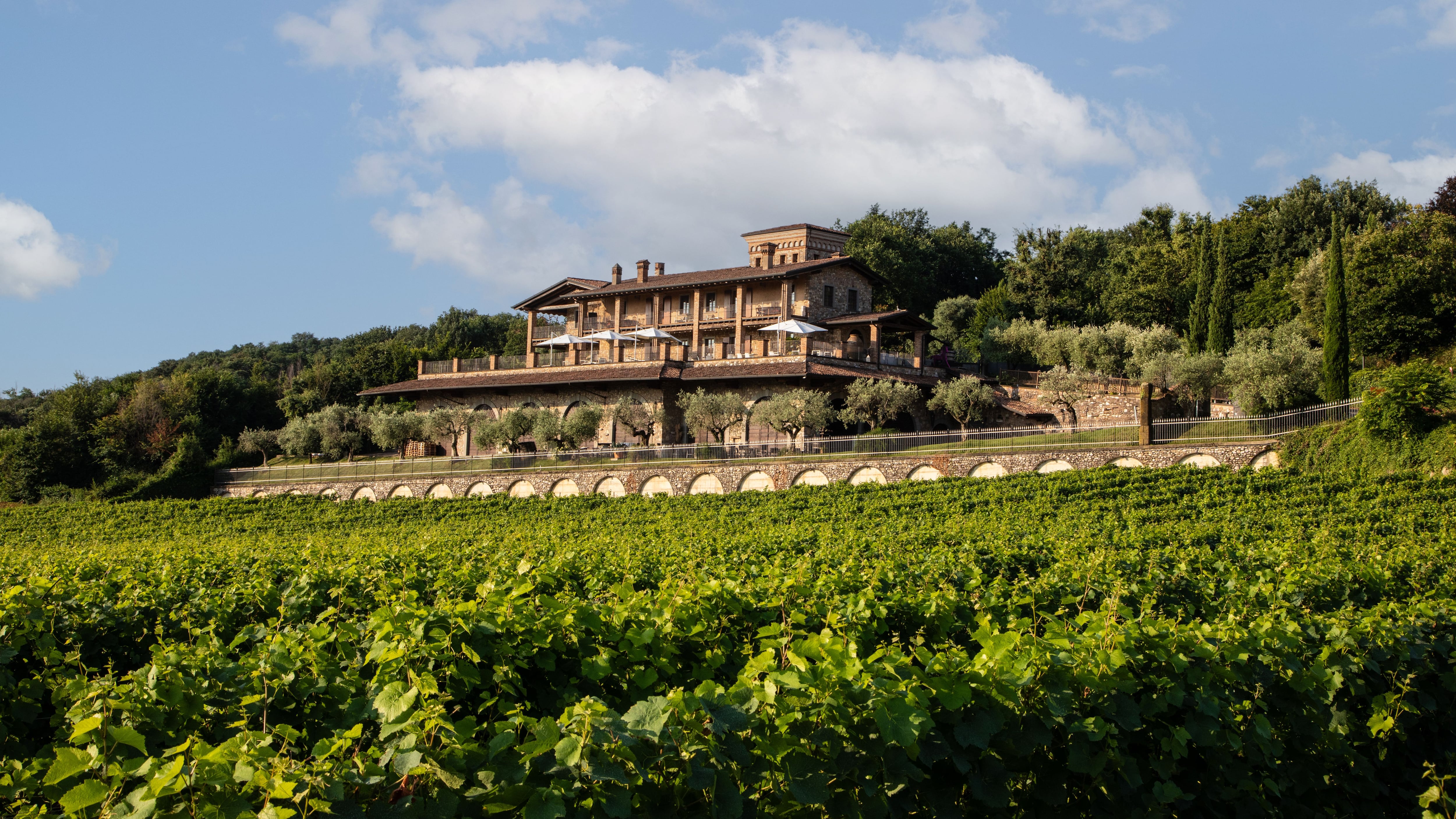 I Barisèi, Franciacorta contadina che guarda lontano