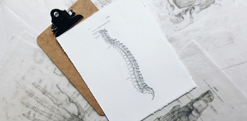 Struttura ossea disegno