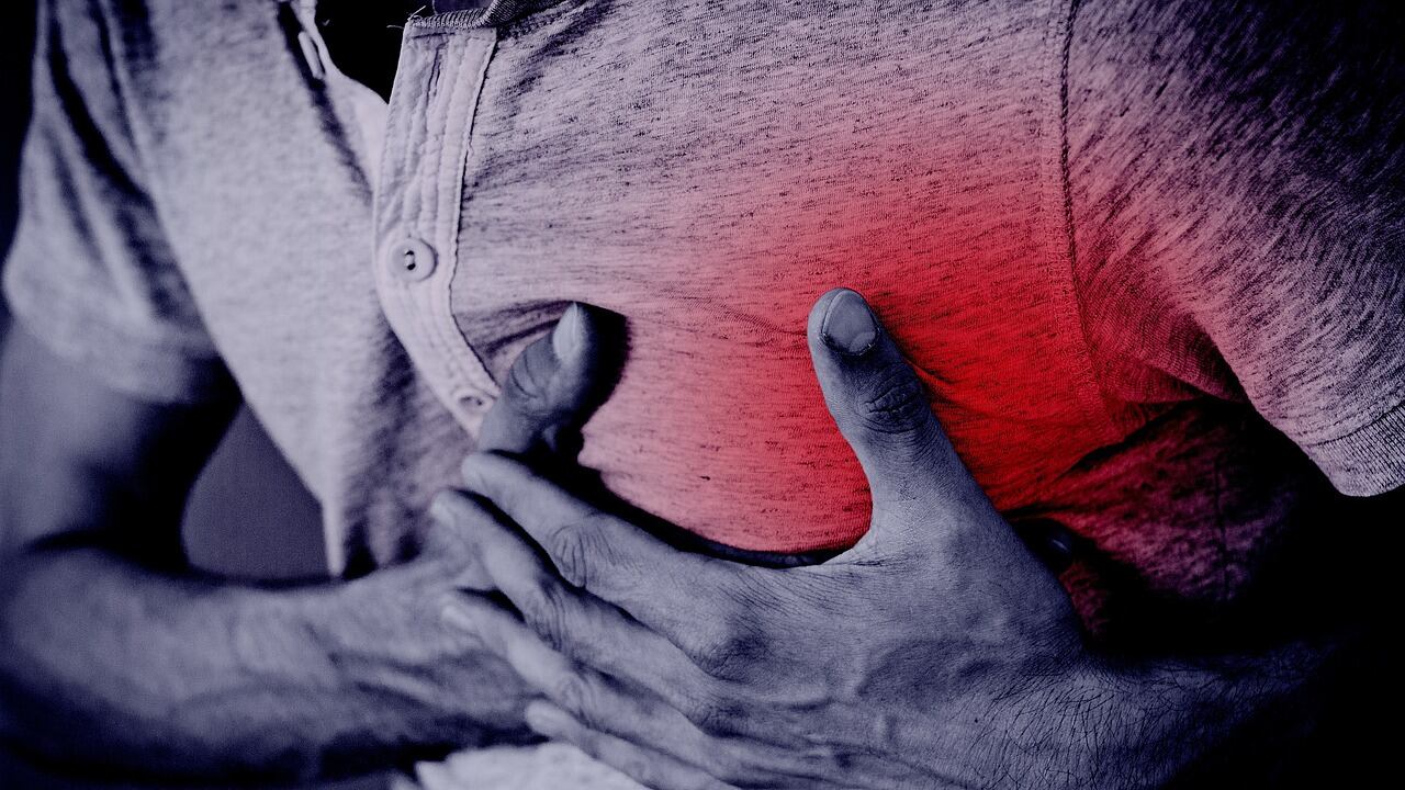 Infarto e medicina rigenerativa: così la "cellula ingegnere" può riparare il cuore