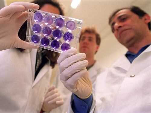 Nuova Sars, primo caso segnalato in Italia