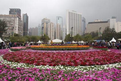 Hong Kong, il giardino tra i palazzi 6
