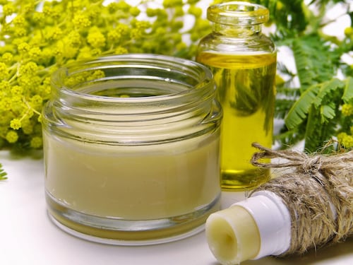 Mimosa: proprietà curative e benefici per la pelle dei senior