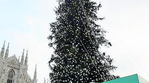 Se l'albero è di sinistra lo sponsor è ok