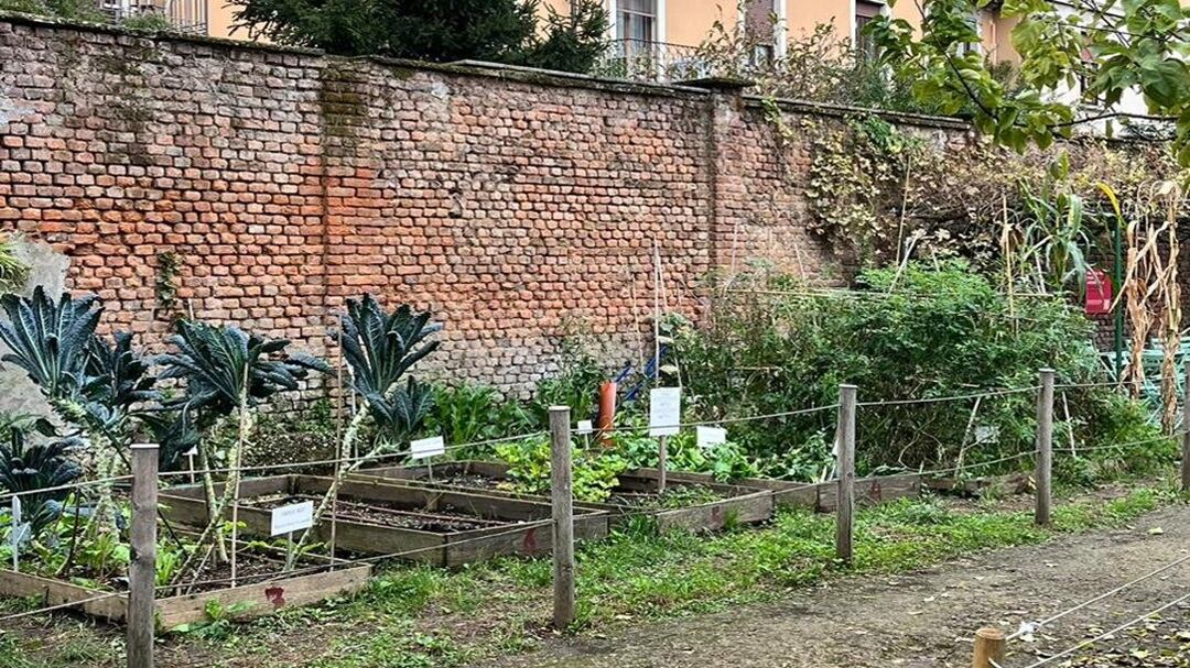 Domenica 28 le fattorie lombarde aprono le porte per accogliere famiglie, scuole e visitatori