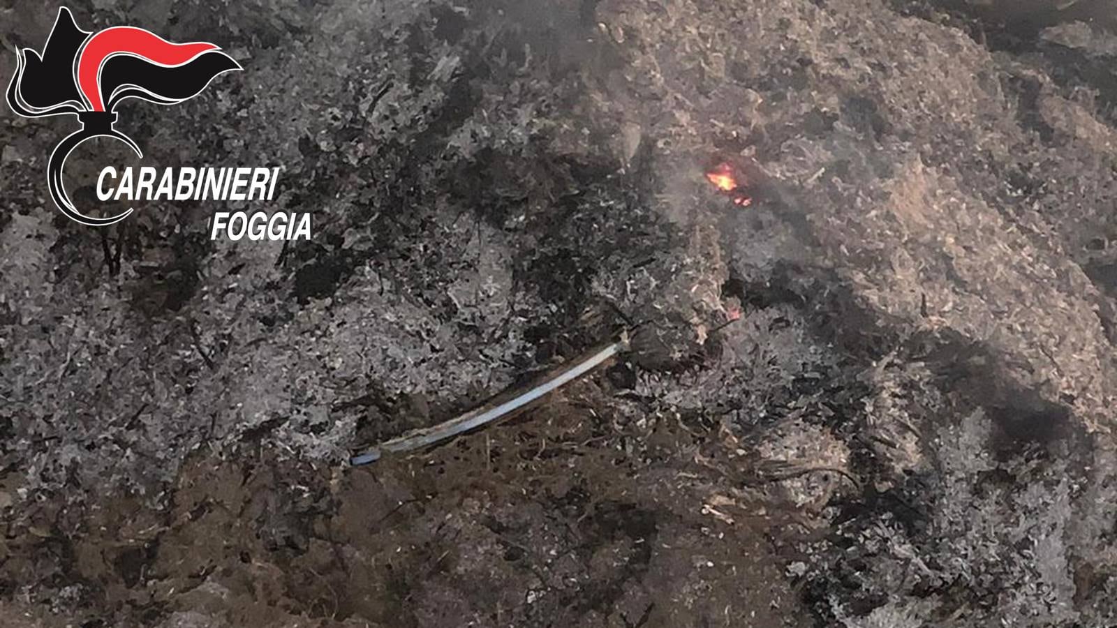 Cerignola, tre bulgari davano fuoco ai rifiuti in campagna: denunciati