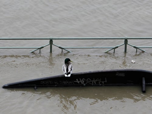 Alluvione a Praga