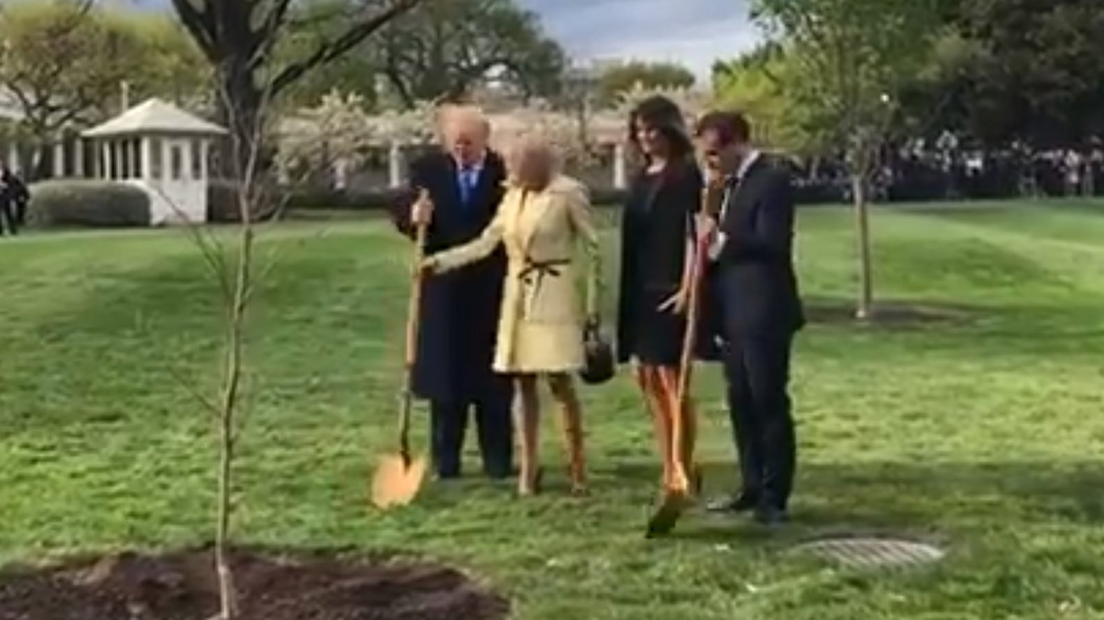 "Mando a Trump un'altra quercia per l'amicizia"