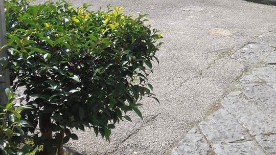 Furto al cimitero di Ercolano: rubate le porte delle cappelle gentilizie