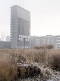 La nebbia avvolge Milano 10