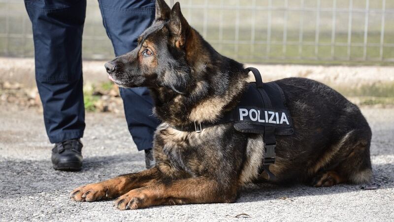 Firenze, controlli antidroga a tappeto: fermati pusher stranieri