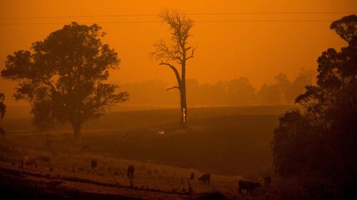 L'Australia devastata dagli incendi 11