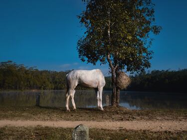 Emerging Photographer Exhibition Contest, i finalisti 2