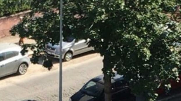Disabile investito sulle strisce pedonali fantasma a Casal Bruciato