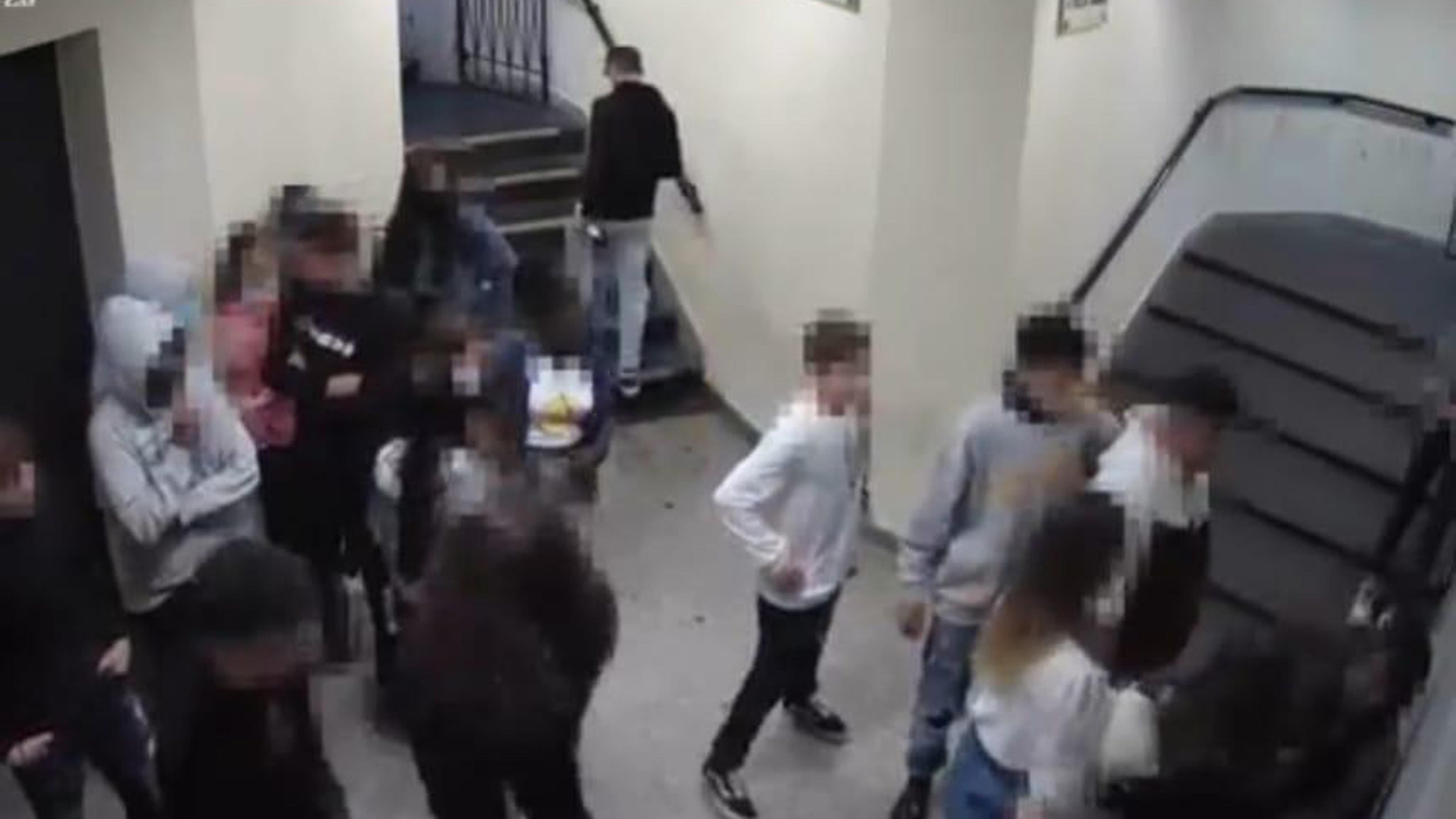 La gang di ragazzine: sui social le botte alle coetanee