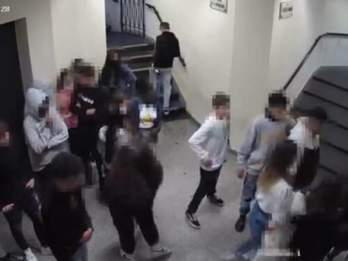 La gang di ragazzine: sui social le botte alle coetanee