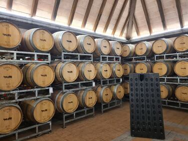 Langhe e Roero, le terre del Barolo e del Barbaresco 13