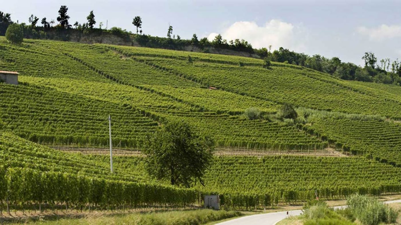 Poderi Luigi Einaudi, degustando la storia