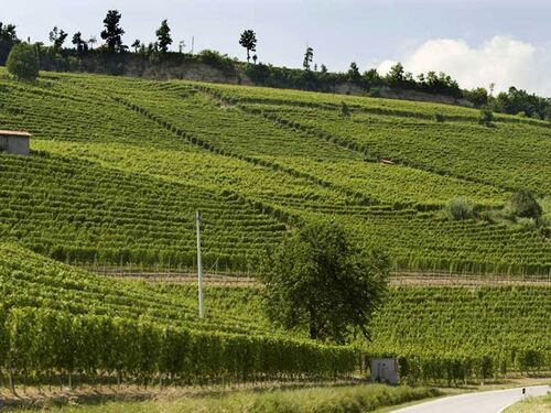 Poderi Luigi Einaudi, degustando la storia