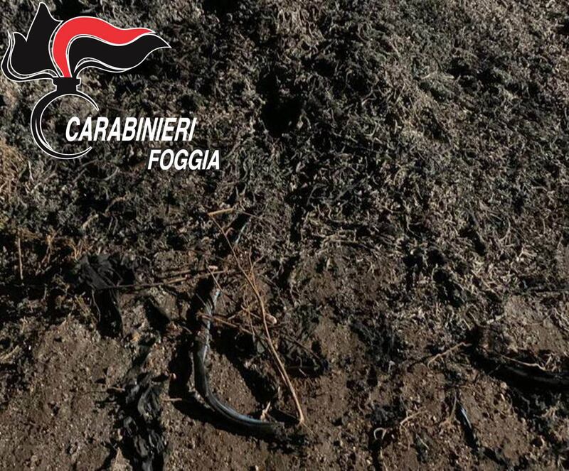 Cerignola, bruciavano i rifiuti in campagna: tre denunce 7
