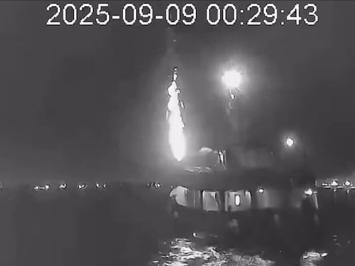 L'accendino, i giubbetti, la traiettoria. Cosa non torna nel racconto della Flotilla di Greta