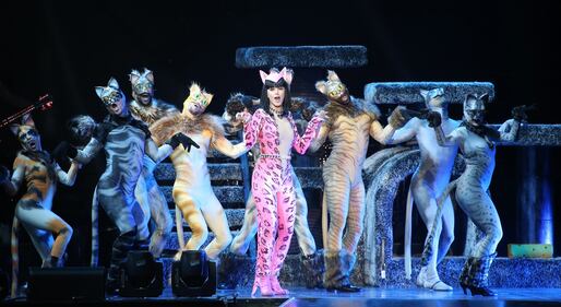 Katy Perry sexy: le foto 23