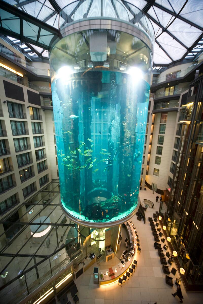 Acquario integro