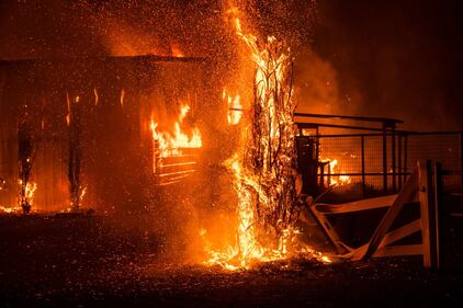 Gli incendi in California 7