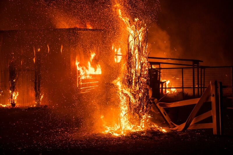 Gli incendi in California 7