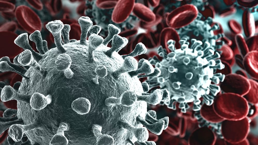 L'immunologo: "Questo virus si spegnerà da solo, ha una morte programmata"