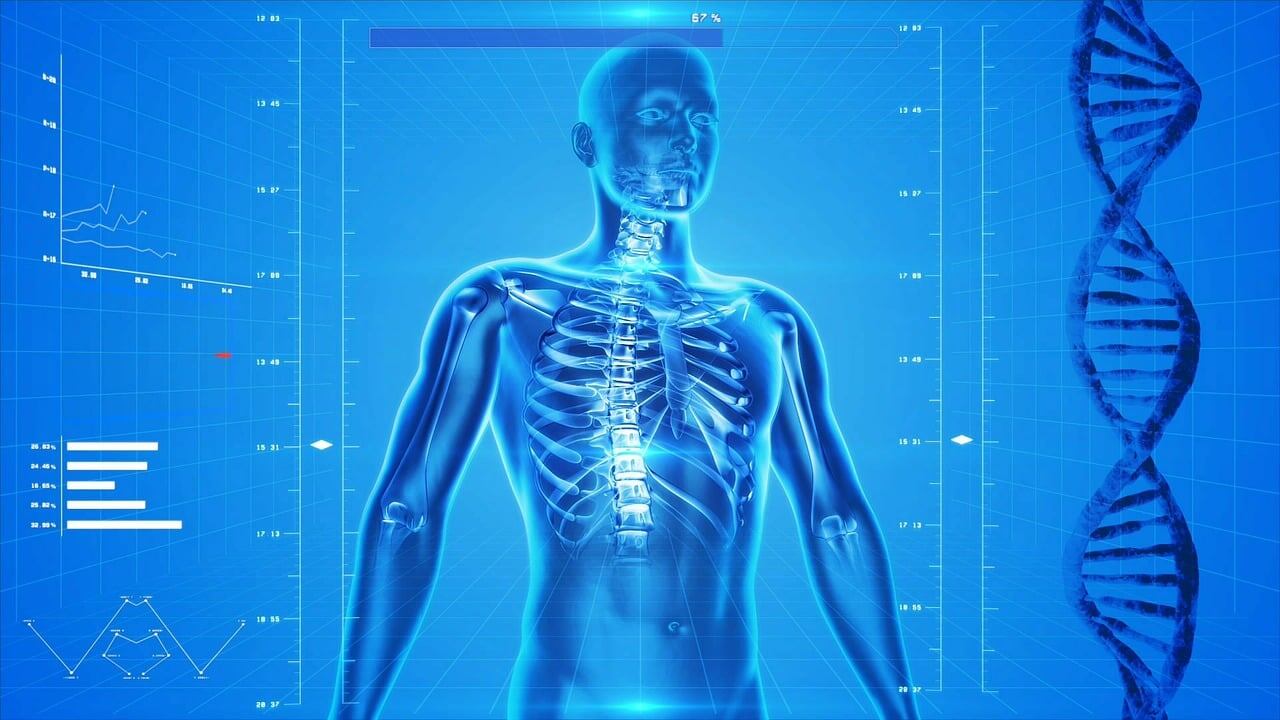 Diabete, quali organi sono i più colpiti dalla malattia