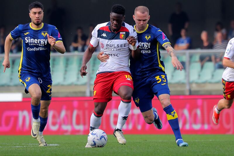 hellas verona genoa 
