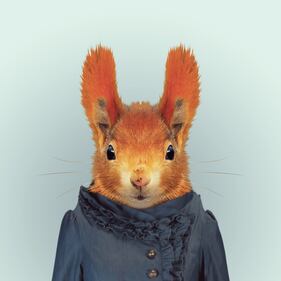 Avete mai visto animali vestiti da esseri umani? 5