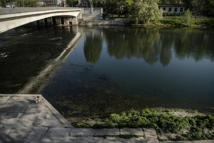 Il coronavirus "ripulisce" le acque del fiume Po 8