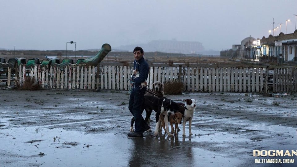 Dogman, un dramma romano girato a Caserta