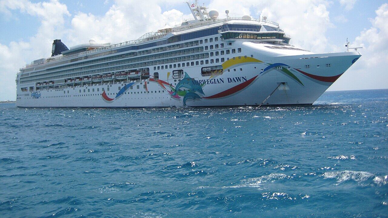 Abbandonati dalla nave da crociera senza medicine, cosa è successo alla coppia di anziani