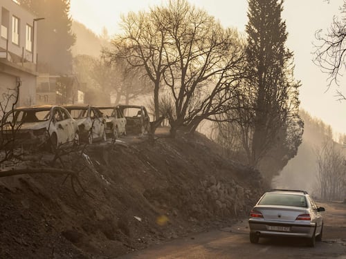 Inferno in Croazia, fiamme devastano città e boschi: morta una donna, 40 feriti e 7 in pericolo di vita