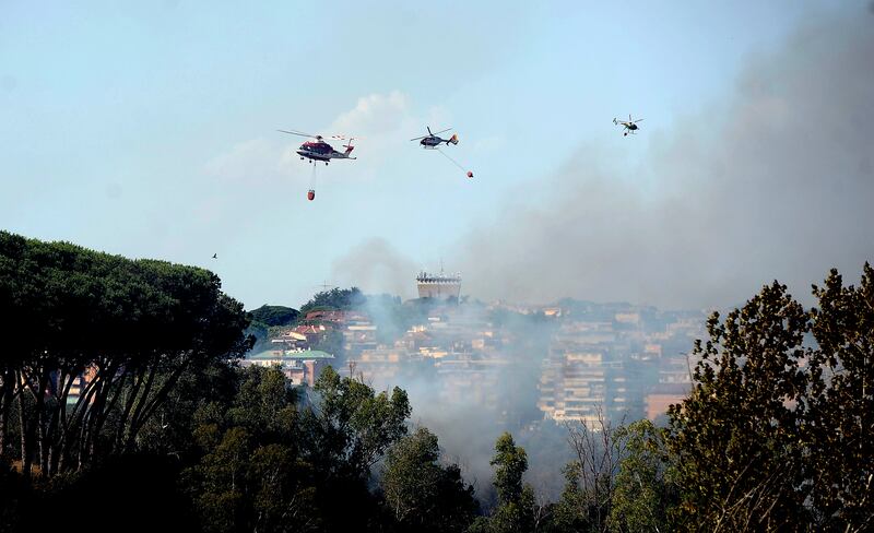 Incendio di pineta Sacchetti a Roma 1