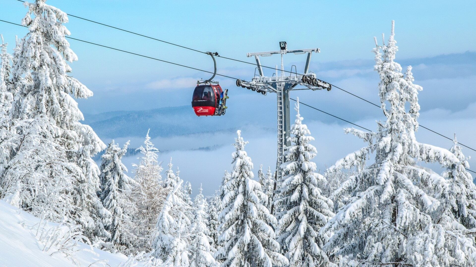 "Niente vacanze sulla neve". Rivolta delle Regioni alpine