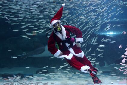 Babbo Natale sott'acqua, con i pesci di Seul 2