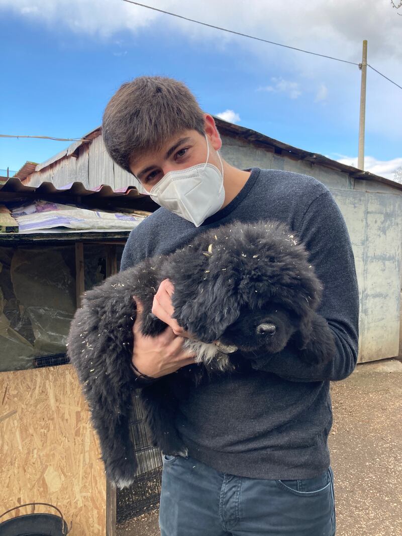 Chiengora, il tessuto dal sottopelo dei cani. L'idea vincente di due 24enni italiani 3
