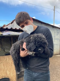 Chiengora, il tessuto dal sottopelo dei cani. L'idea vincente di due 24enni italiani 3