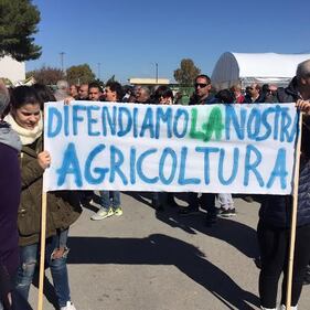 manifestazione 